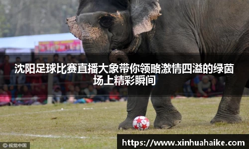 kk体育官网