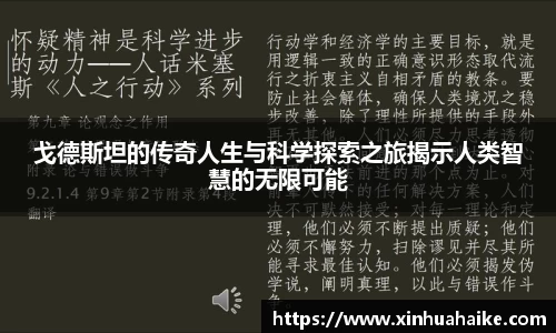 kk足球