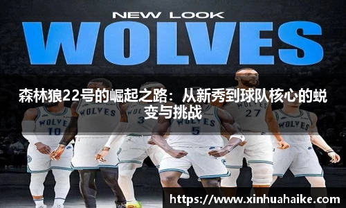 森林狼22号的崛起之路：从新秀到球队核心的蜕变与挑战