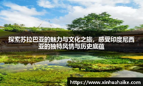 探索苏拉巴亚的魅力与文化之旅，感受印度尼西亚的独特风情与历史底蕴