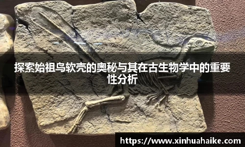 kk体育官网