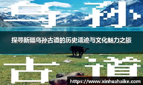 kk体育官网
