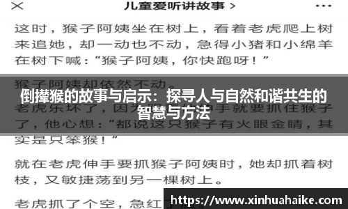 kk体育